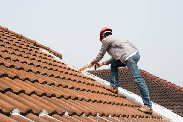 Metal Roofing in Charlestown, MD